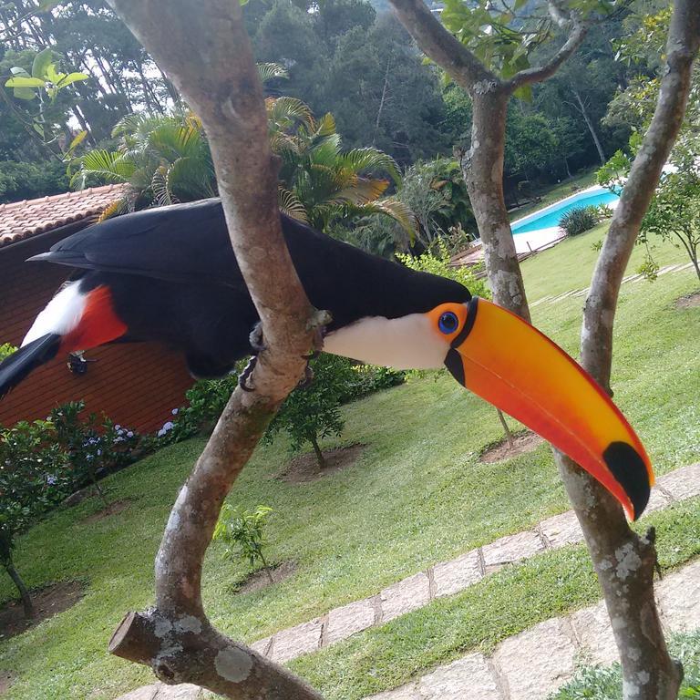 Pousada Tucano Do Cuiaba Itaipava エクステリア 写真