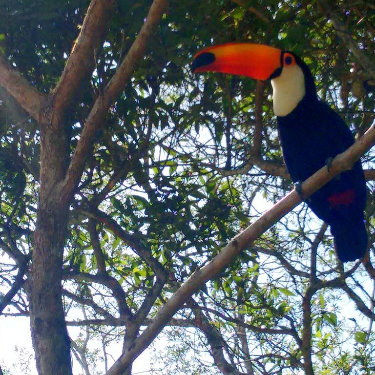 Pousada Tucano Do Cuiaba Itaipava エクステリア 写真